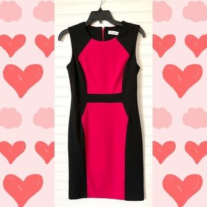 Calvin Klein color block sleeveless career dress